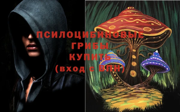 меф Каменск-Шахтинский
