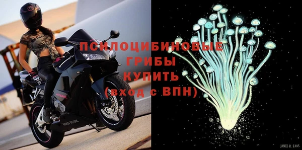 наркотики Каменногорск