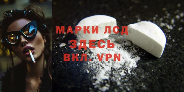 spice Каменка