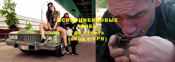 меф Каменск-Шахтинский