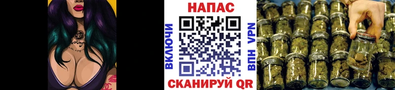 Канабис OG Kush  Купить где  Калач 